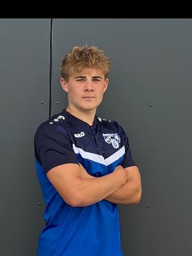 Theo Mertens Zur Helle