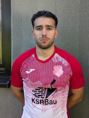 Rui Pedro da Silva Soares