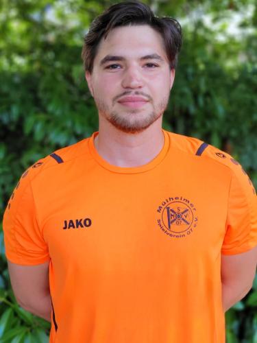 Nico Merks