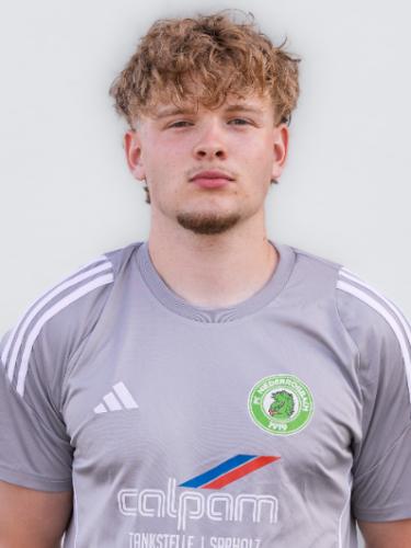 Lasse Elias Theis