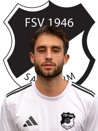 Julian Vollmer