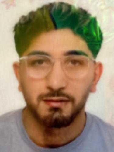Dalil Ali