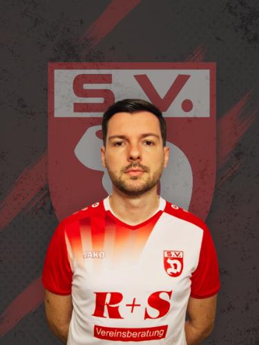 Davor Dzalto
