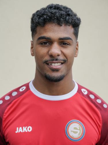 Ahmed Fathi Ali Saeid