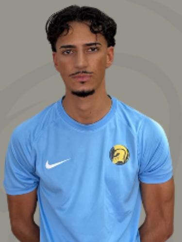 Berdan Ayarig
