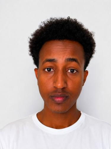 Amin Hussein