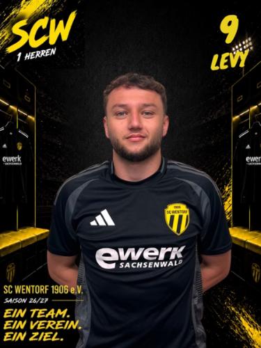 Levy Rogowski