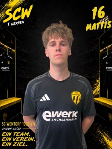 Mattis Schween