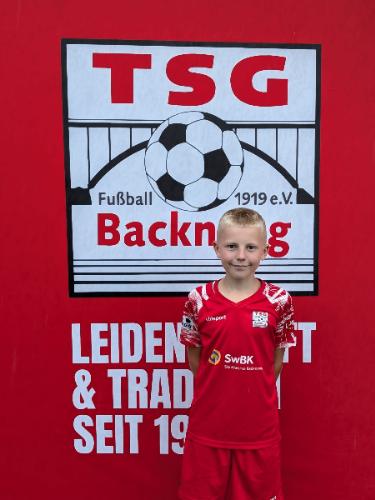 Lasse Hauke