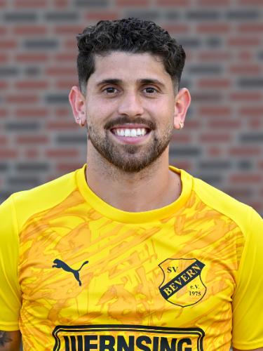 Pedro Henrique de Souza Silva
