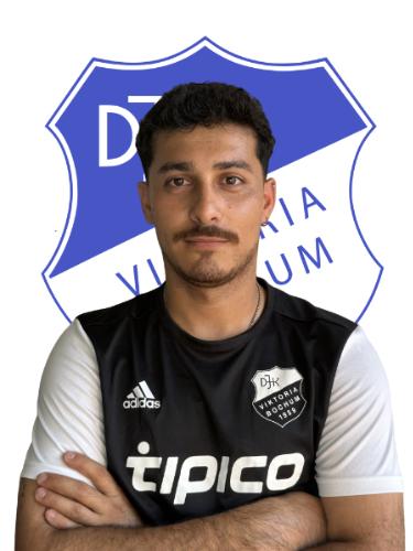 Mohamad Hadi Arefi