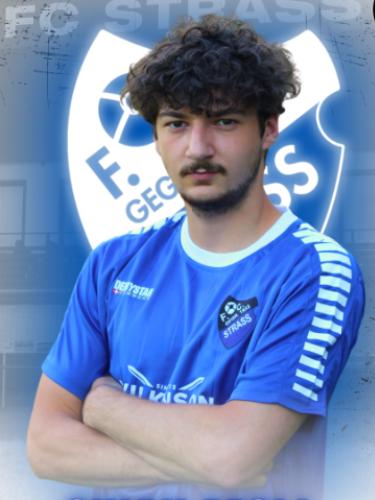 Sinan Moll