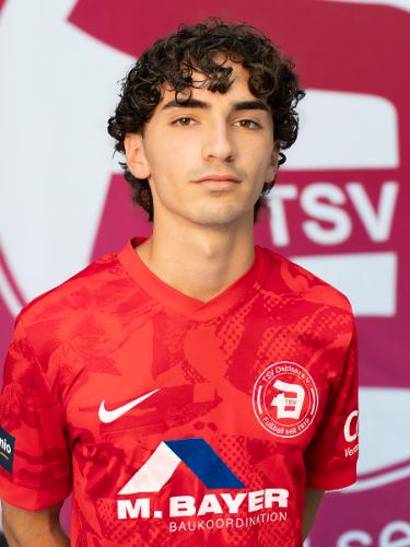 Vincent Giuliano