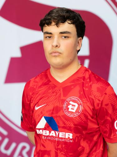 Teoman Yasin Ayakdas