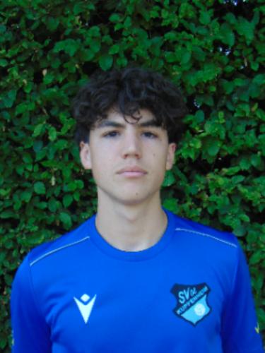 Ilija-Nikos Mitrovic