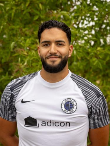 Semih Aydin