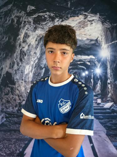 Daris Hajdarpasic