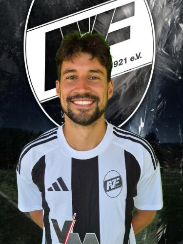 Daniel Almeida Mendes
