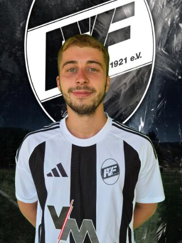 Timo Schaub