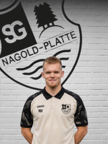 Nic Handte
