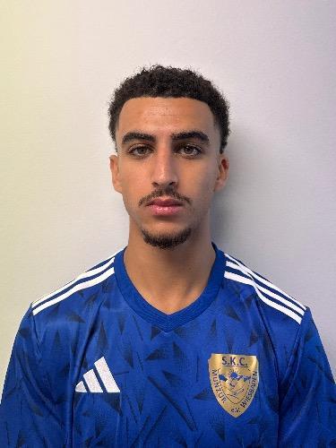 Hasan Hamad