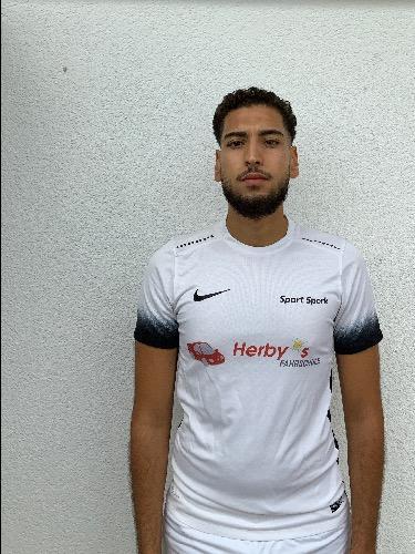 Mohamed Amin Zourgani