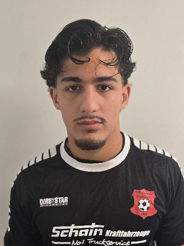 Deniz Bülent Bayisler