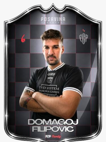 Domagoj Filipovic
