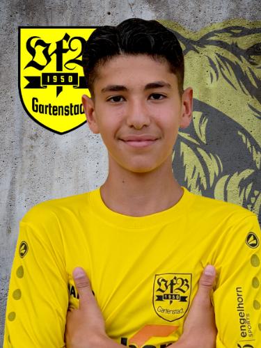 Ömer Faruk Artis