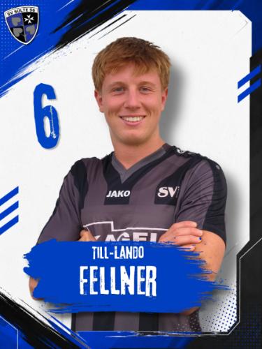 Till-Lando Fellner