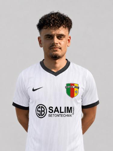 Metin Saljiu