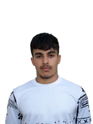 Bedir Yildrim