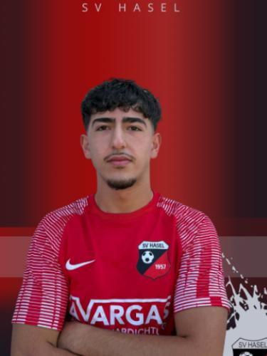 Ali Haidar Ahmad