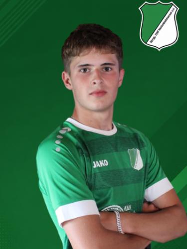 Henrik Ried