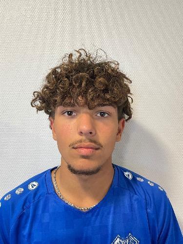 Yushar Mansouri-Filestan