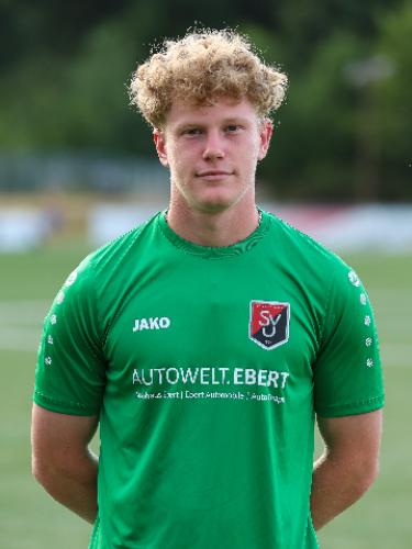 Timo Ulpins