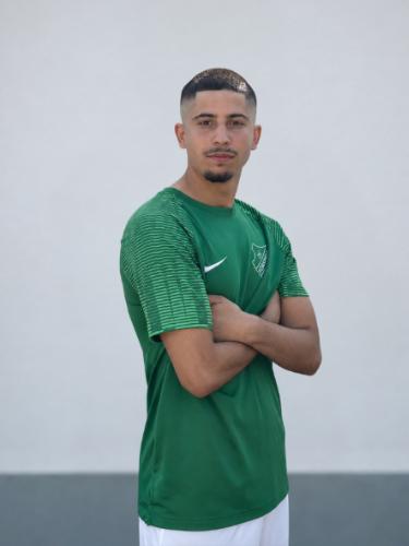 Diyar Dalleki