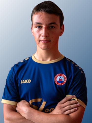 Ivica Galosevic