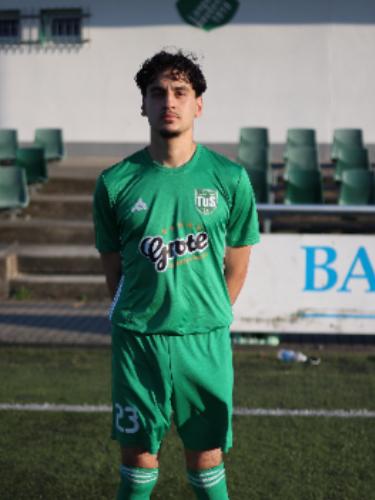 Musa Dal