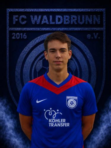 Luca Voll