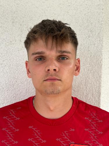 Niklas Hamann