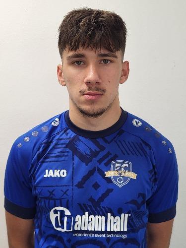 Aleksandar Gajic