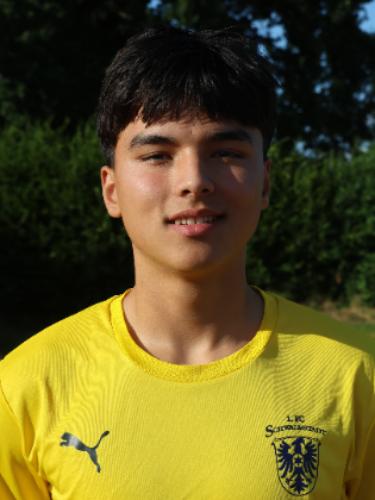Amir Reza Jaqoubi