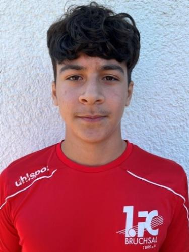 Erdem Demirbag