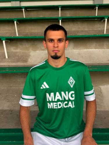 Nikola Travica