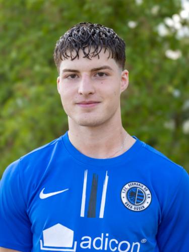 Luka Beric