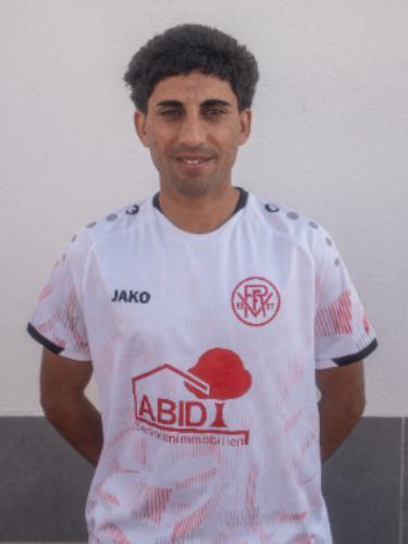 Roman Amiri
