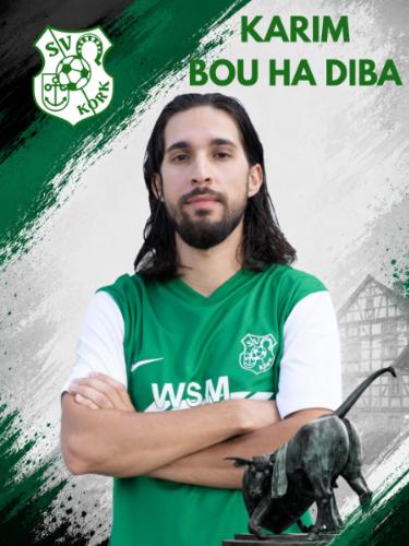 Karim Bou Ha Diba
