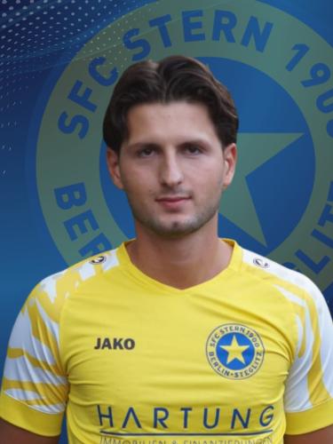 Arnes Gudzevic