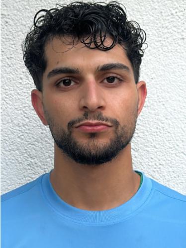 Bapir Alhamadi